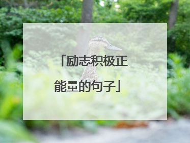 励志积极正能量的句子