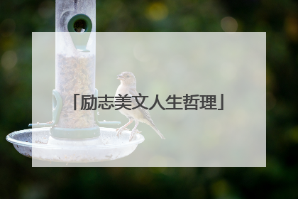 励志美文人生哲理
