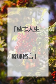 励志人生哲理格言