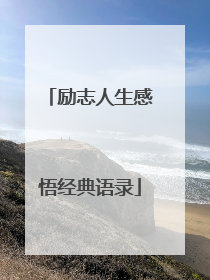励志人生感悟经典语录
