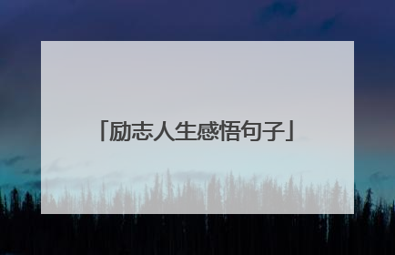 励志人生感悟句子