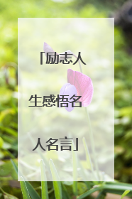 励志人生感悟名人名言