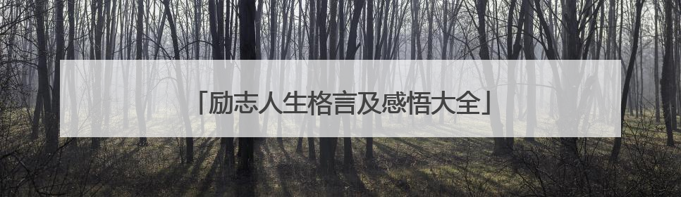 励志人生格言及感悟大全