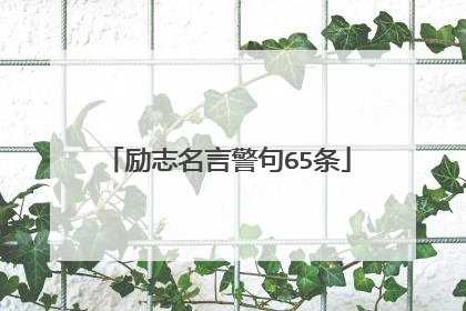 励志名言警句65条