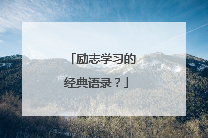 励志学习的经典语录?