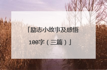 励志小故事及感悟100字（三篇）