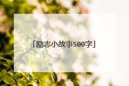 励志小故事500字
