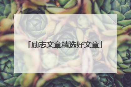 励志文章精选好文章