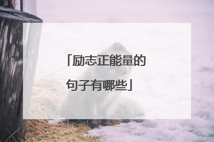 励志正能量的句子有哪些