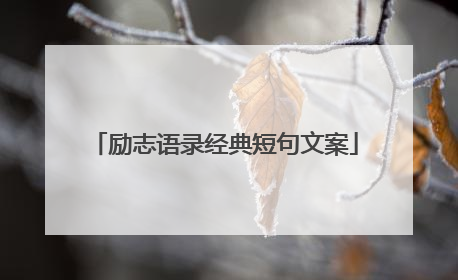 励志语录经典短句文案