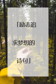 励志追求梦想的诗句