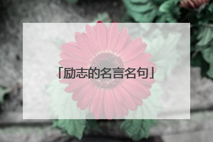 励志的名言名句