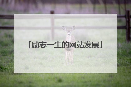 励志一生的网站发展
