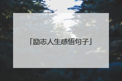 励志人生感悟句子