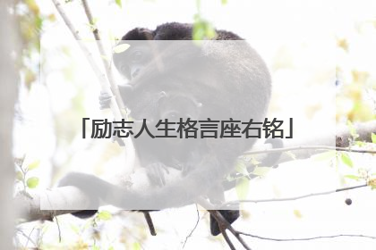励志人生格言座右铭
