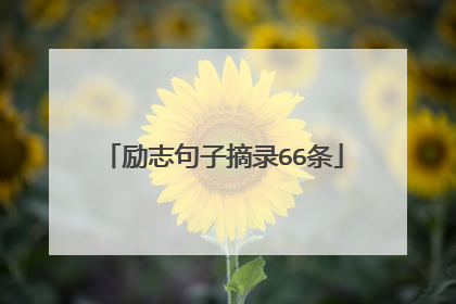 励志句子摘录66条