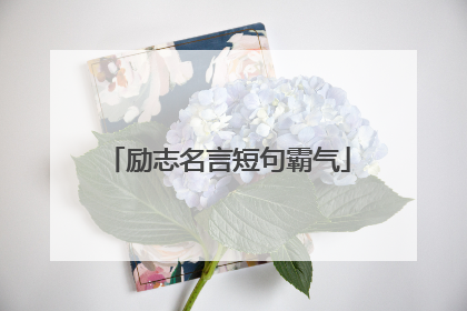 励志名言短句霸气