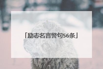 励志名言警句56条