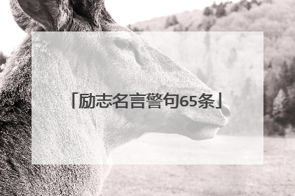 励志名言警句65条