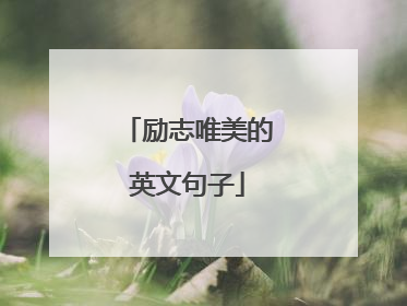 励志唯美的英文句子