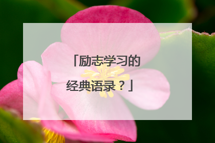励志学习的经典语录?