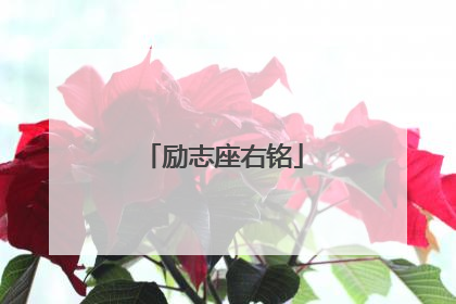 励志座右铭