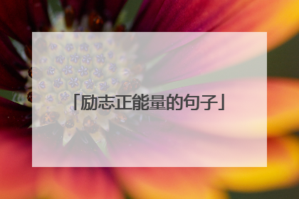励志正能量的句子