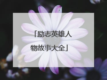 励志英雄人物故事大全