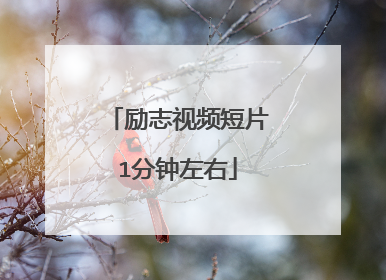 励志视频短片1分钟左右