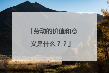 劳动的价值和意义是什么??