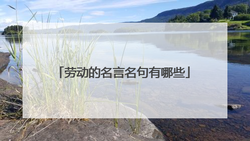 劳动的名言名句有哪些