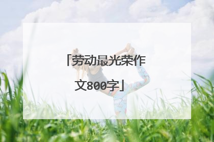劳动最光荣作文800字