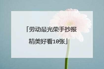 劳动最光荣手抄报精美好看10张