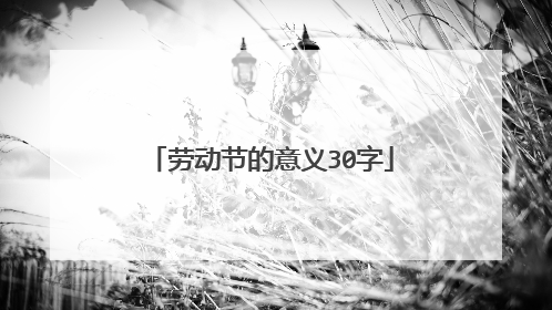 劳动节的意义30字