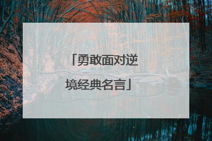 勇敢面对逆境经典名言