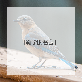 勤学的名言