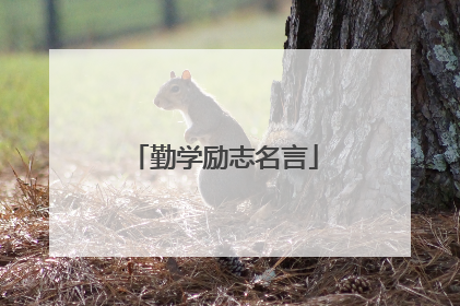 勤学励志名言