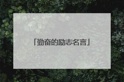 勤奋的励志名言