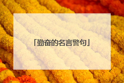 勤奋的名言警句