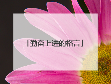 勤奋上进的格言
