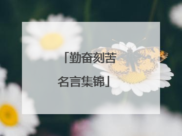 勤奋刻苦名言集锦