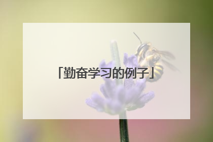 勤奋学习的例子