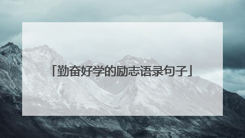 勤奋好学的励志语录句子
