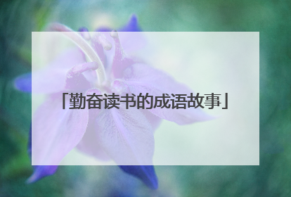 勤奋读书的成语故事