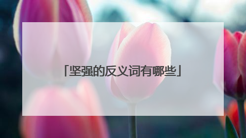 坚强的反义词有哪些