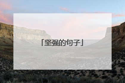 坚强的句子