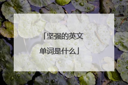 坚强的英文单词是什么