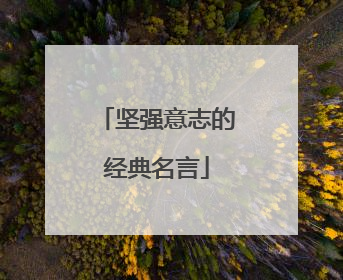 坚强意志的经典名言
