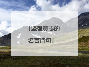 坚强意志的名言诗句