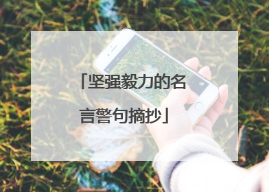 坚强毅力的名言警句摘抄